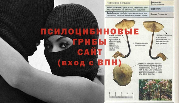 мдпв Тында