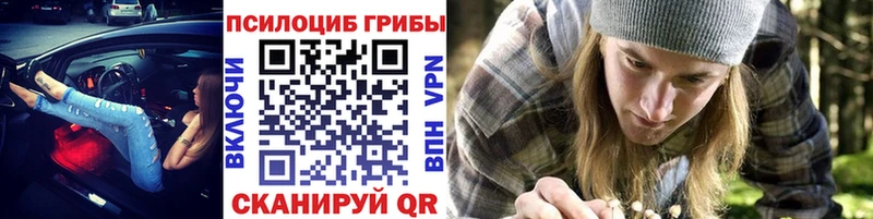 Галлюциногенные грибы MAGIC MUSHROOMS  купить   Тара 