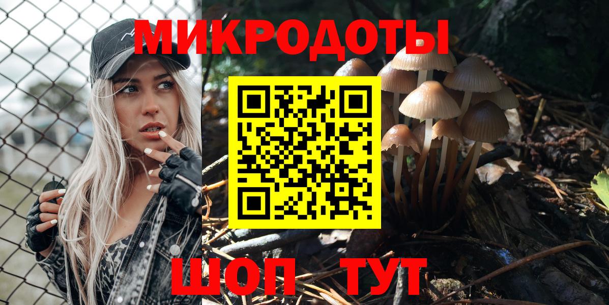 Тара  Псилоцибиновые грибы GOLDEN TEACHER  Вход с VPN 