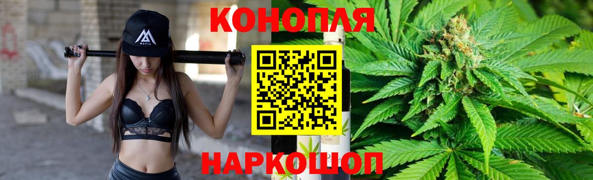 Каннабис сатива  Тара  Каннабис конопля 